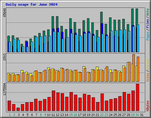 Daily usage for June 2024