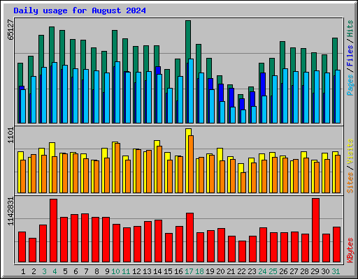 Daily usage for August 2024