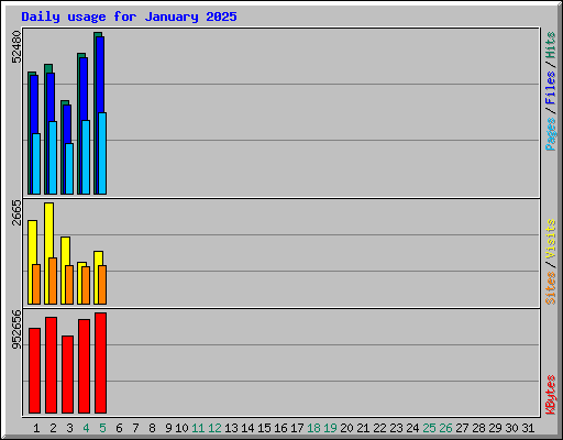 Daily usage for January 2025