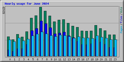 Hourly usage for June 2024