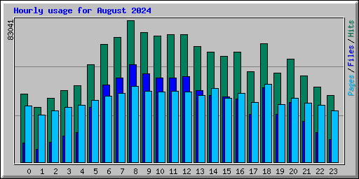 Hourly usage for August 2024