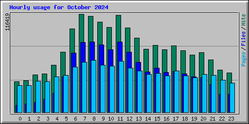 Hourly usage for October 2024