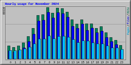 Hourly usage for November 2024