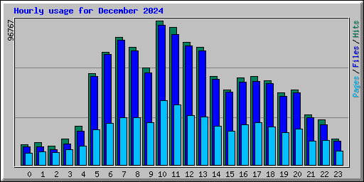 Hourly usage for December 2024