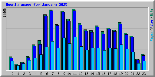 Hourly usage for January 2025